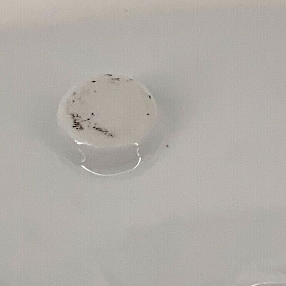 Rosanna Trellis Pale Pink Gold Printed Rectangle Footed Tray In Gift Box - Picture 5 of 7